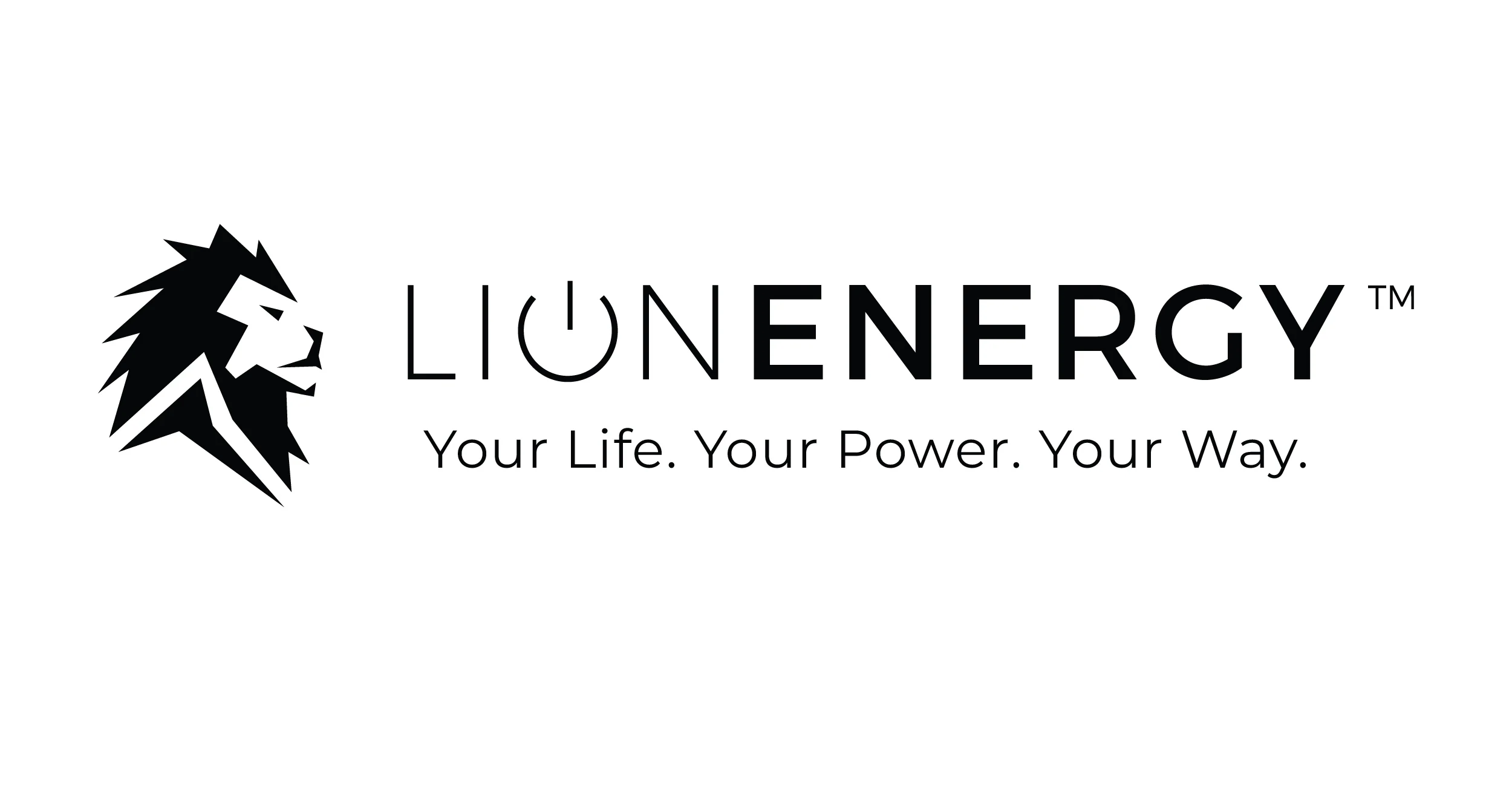 Lion Energy Safari ME portable power station